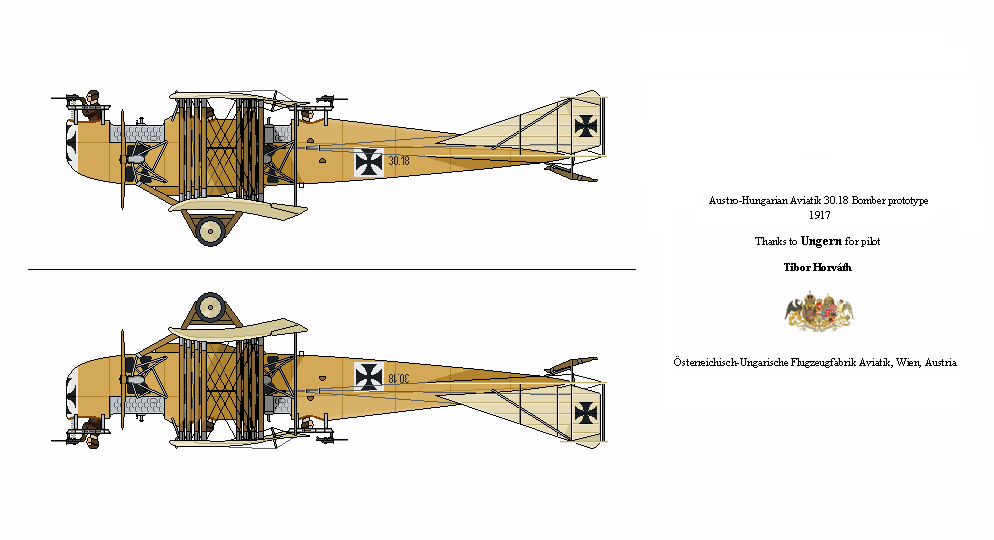 Austro-Hungarian Aviatik 3018 Bomber