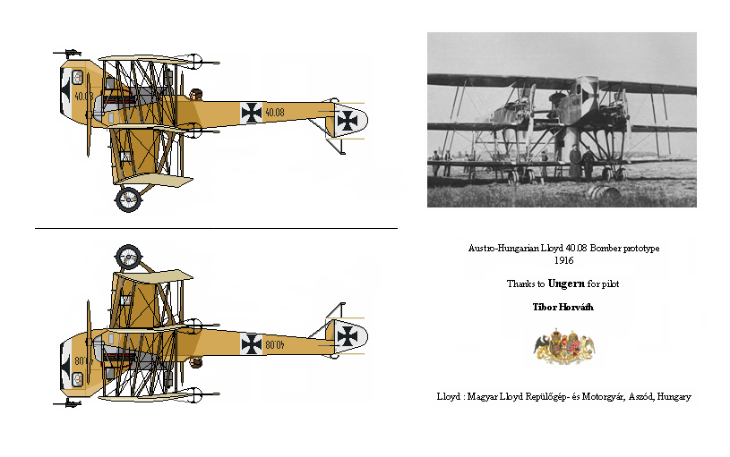 Austro-Hungarian Lloyd 40.08 Bomber