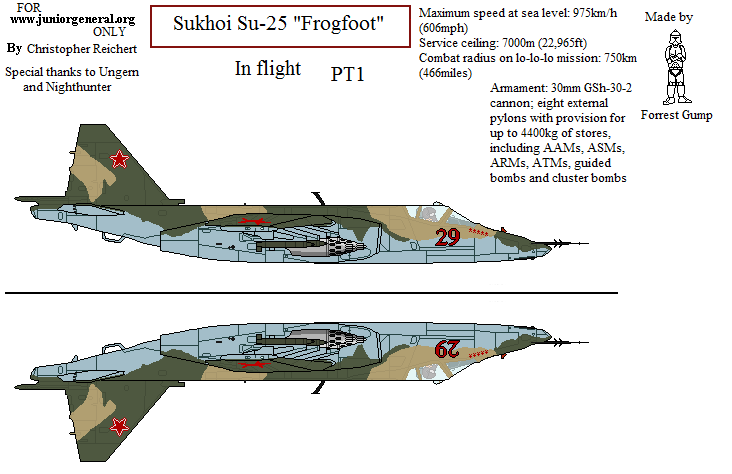 Russian Su-25 Frogfoot
