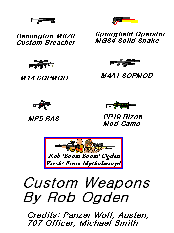 Custom Weapons