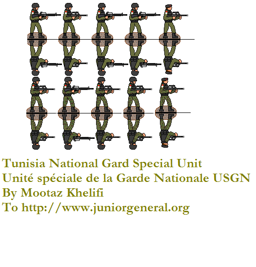 Tunisian National Guard