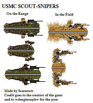 Scout Snipers