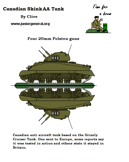 Canadian Skink AA Tank