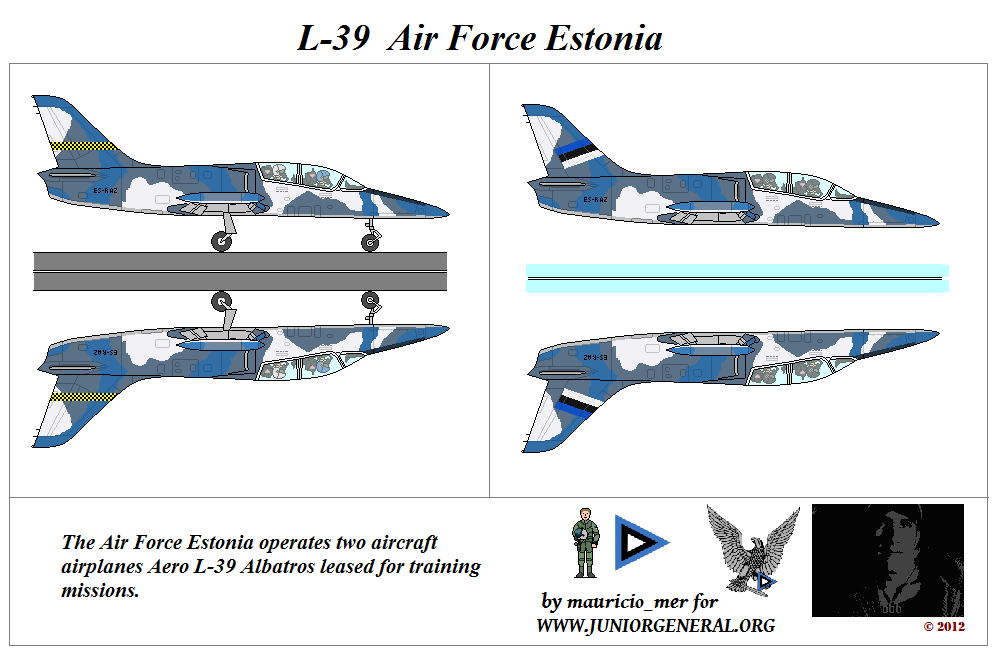 Estonian L-39 Aircraft