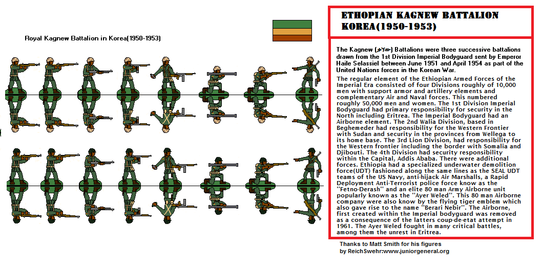 Ethiopian Infantry