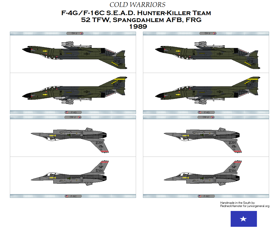 US F-4G / F16C SEAD