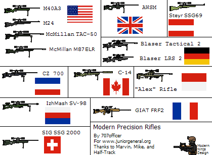 Precision Rifles