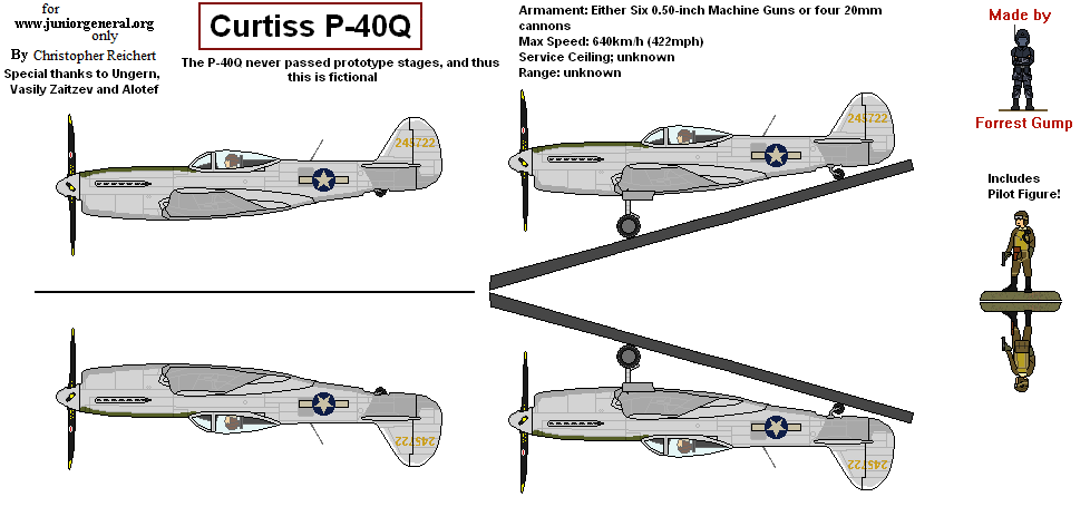 Curtiss P-40Q (2)