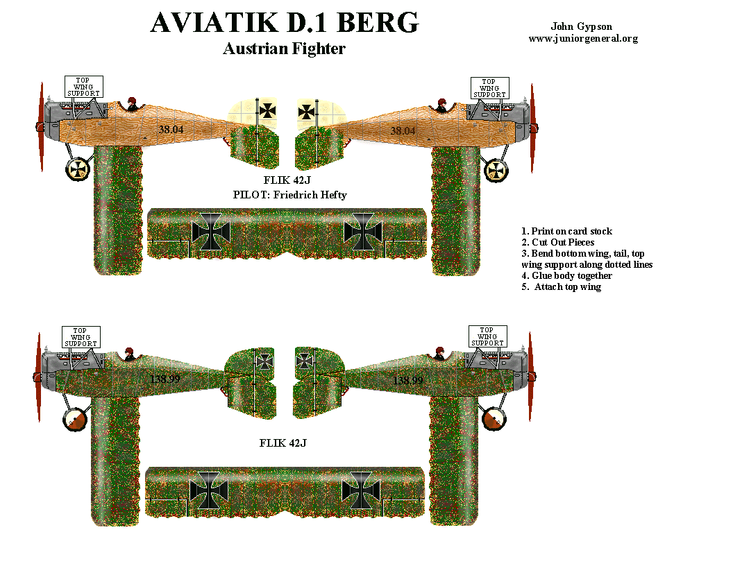 Aviatik D. 1 Berg