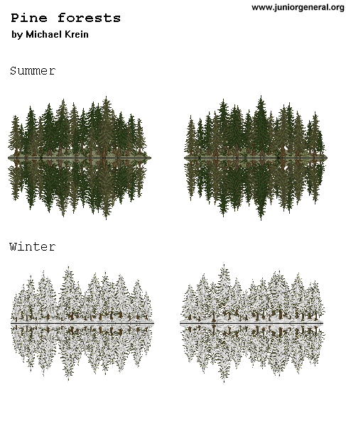 Pine Forest (micro-scale)