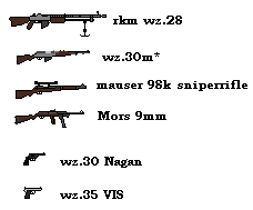 Polish Weapons