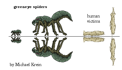 Greeneye Spider
