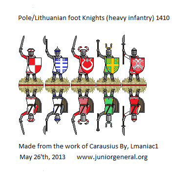 Lithuanian Knights
