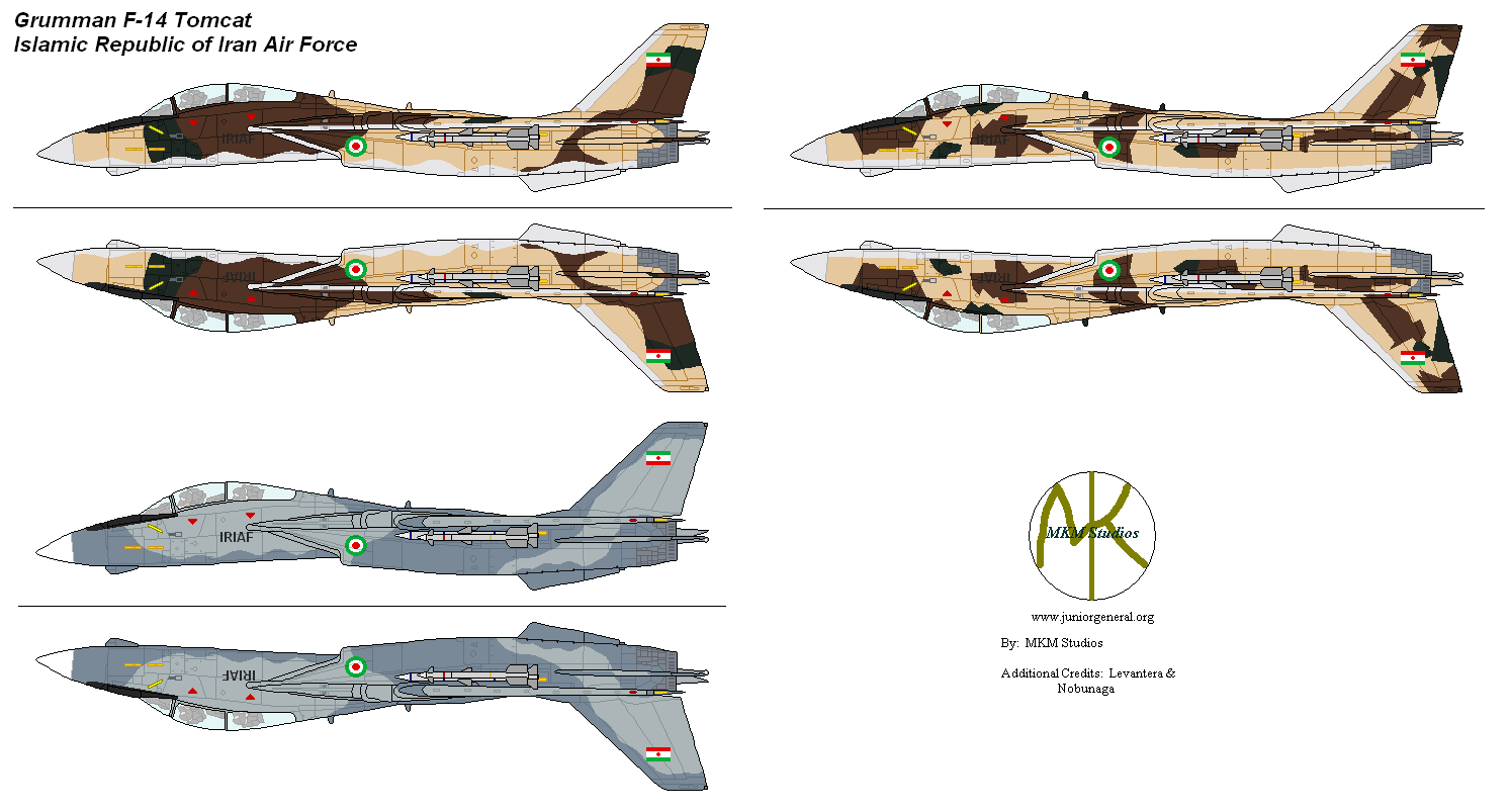 Iranian Grumman F-14 Tomcat